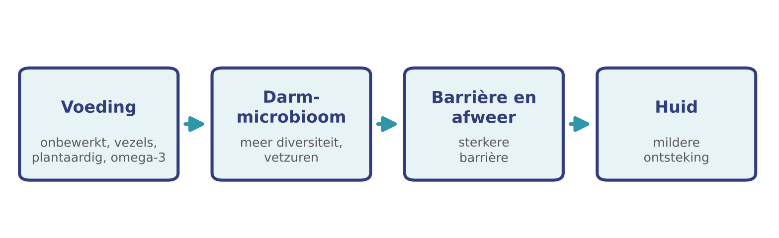 De darm-huid-as